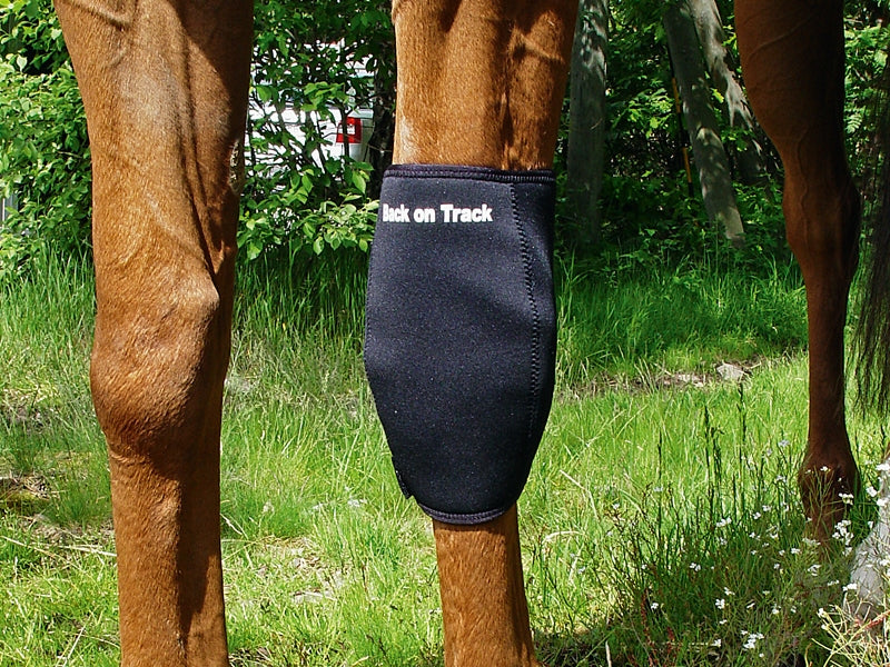 2036_kneebootleft_2_web.jpg