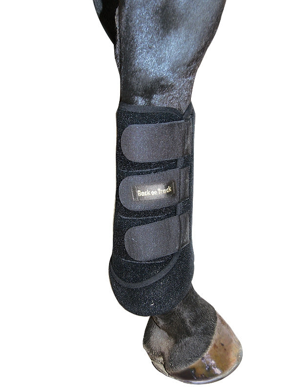2045_exercisebootsforhindleg_2_web.jpg