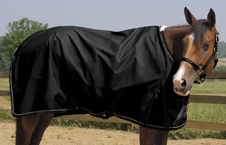 351515_black.jpg
