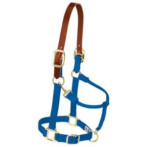 356025_blue.jpg