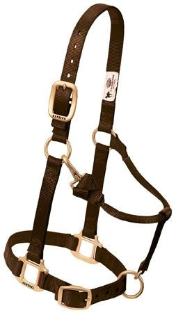 357035_brown.jpg