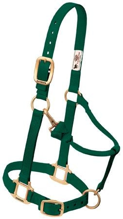 357035_hunter_green.jpg