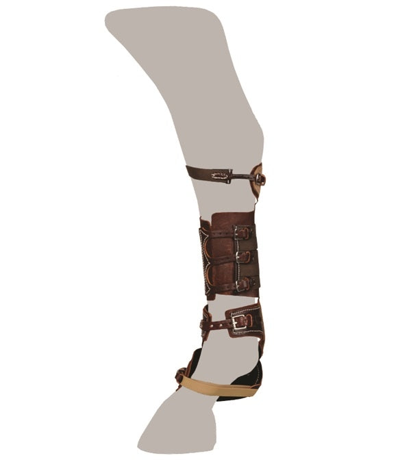 4-211306-c.jpg