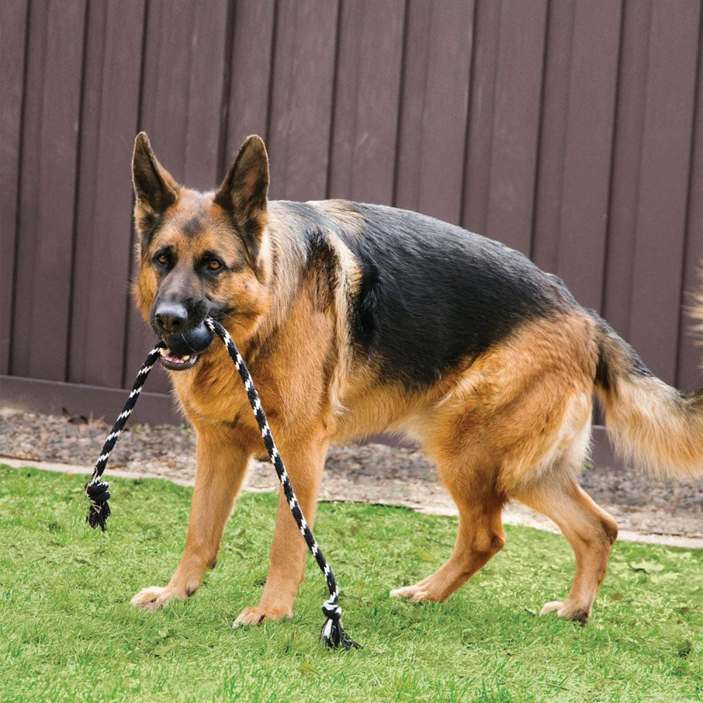 4-235584-b.jpg