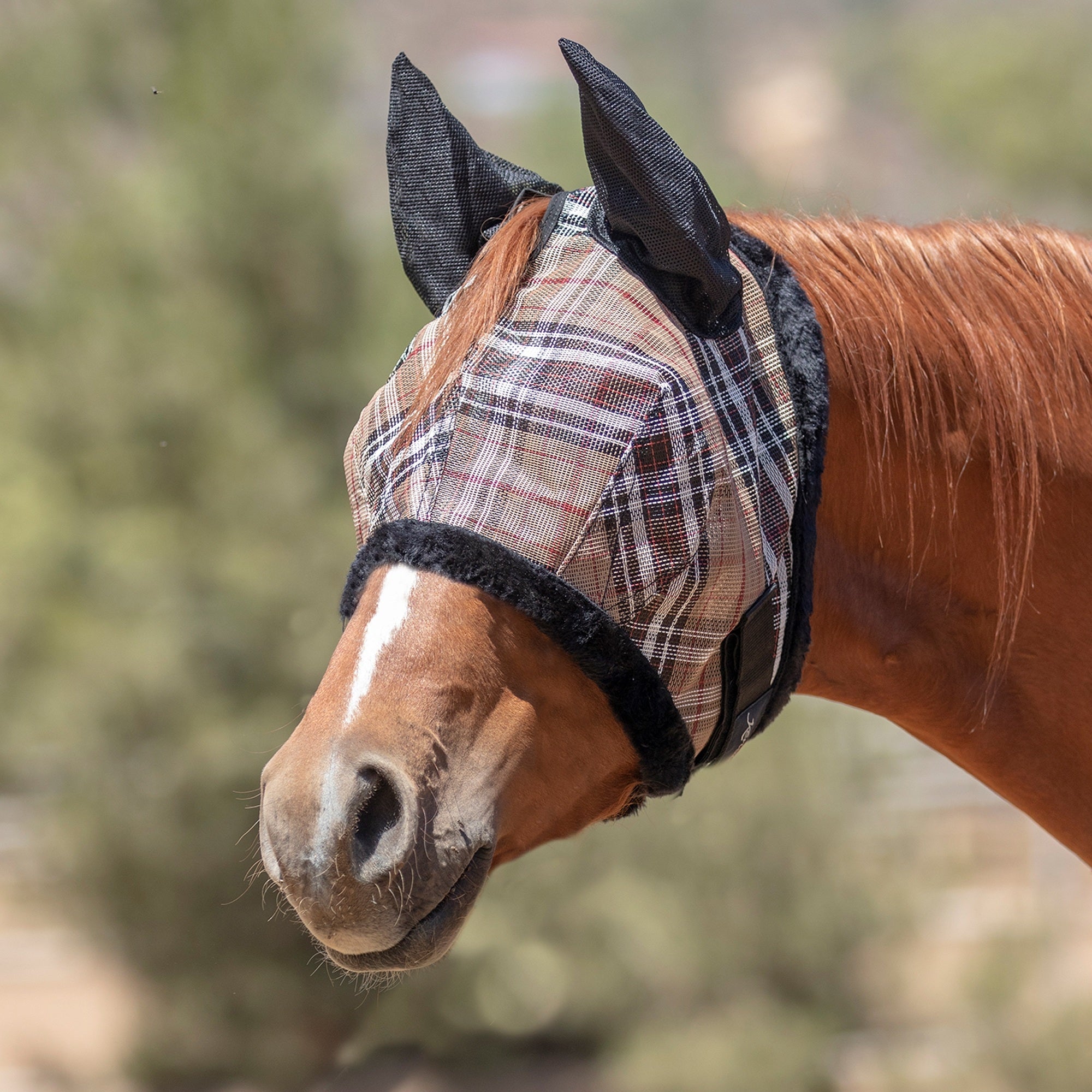 4-269820-02.jpg