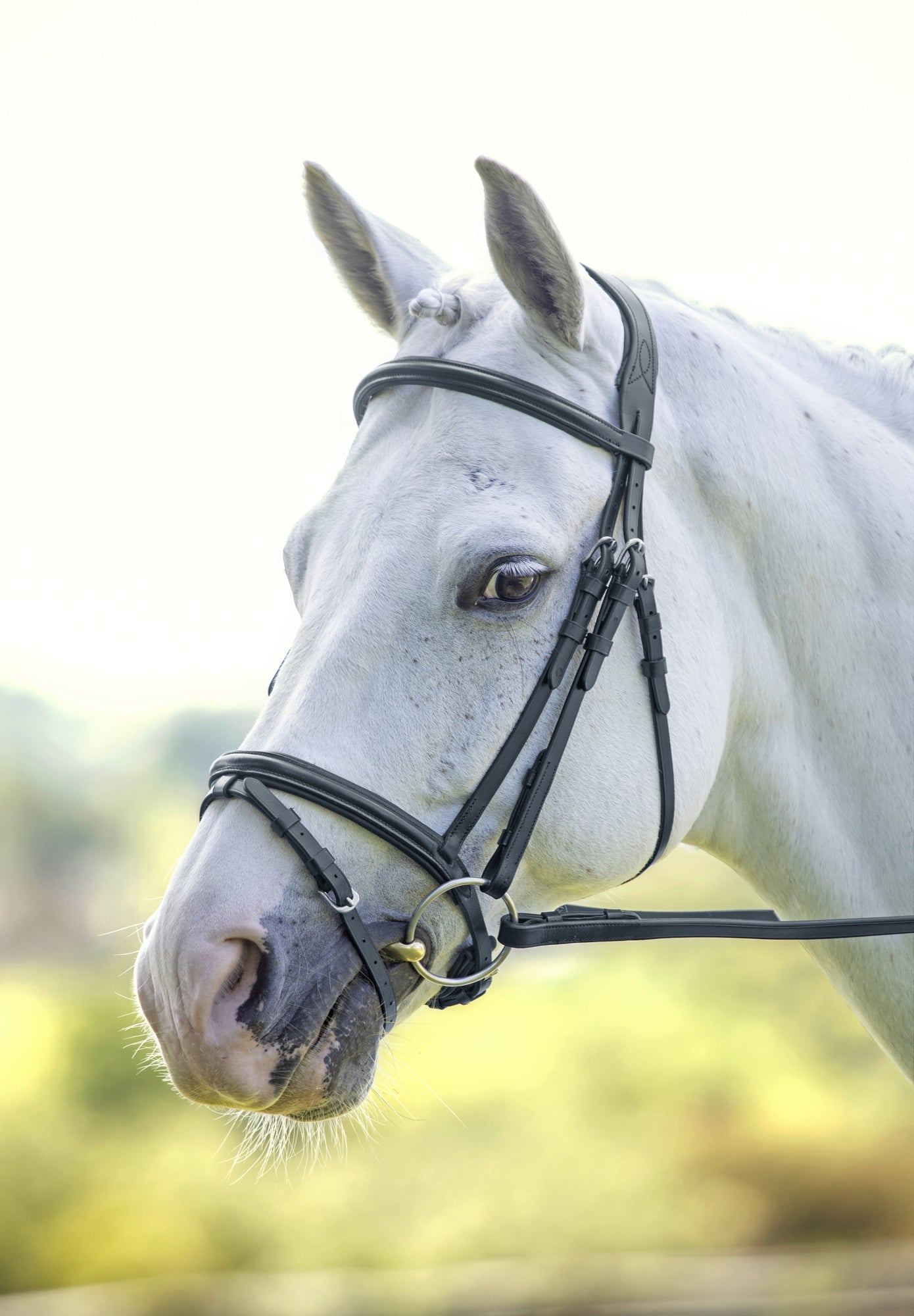 Bridon Cavesson ergonomique courbé Shires Velociti RAPIDA – GS Equestrian Bridon Cavesson ergonomique courbé Shires Velociti RAPIDA – GS Equestrian