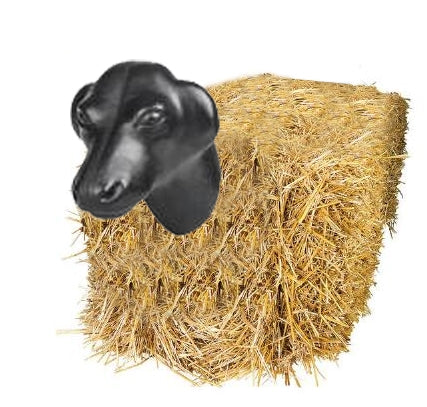 4-294777hay.jpg