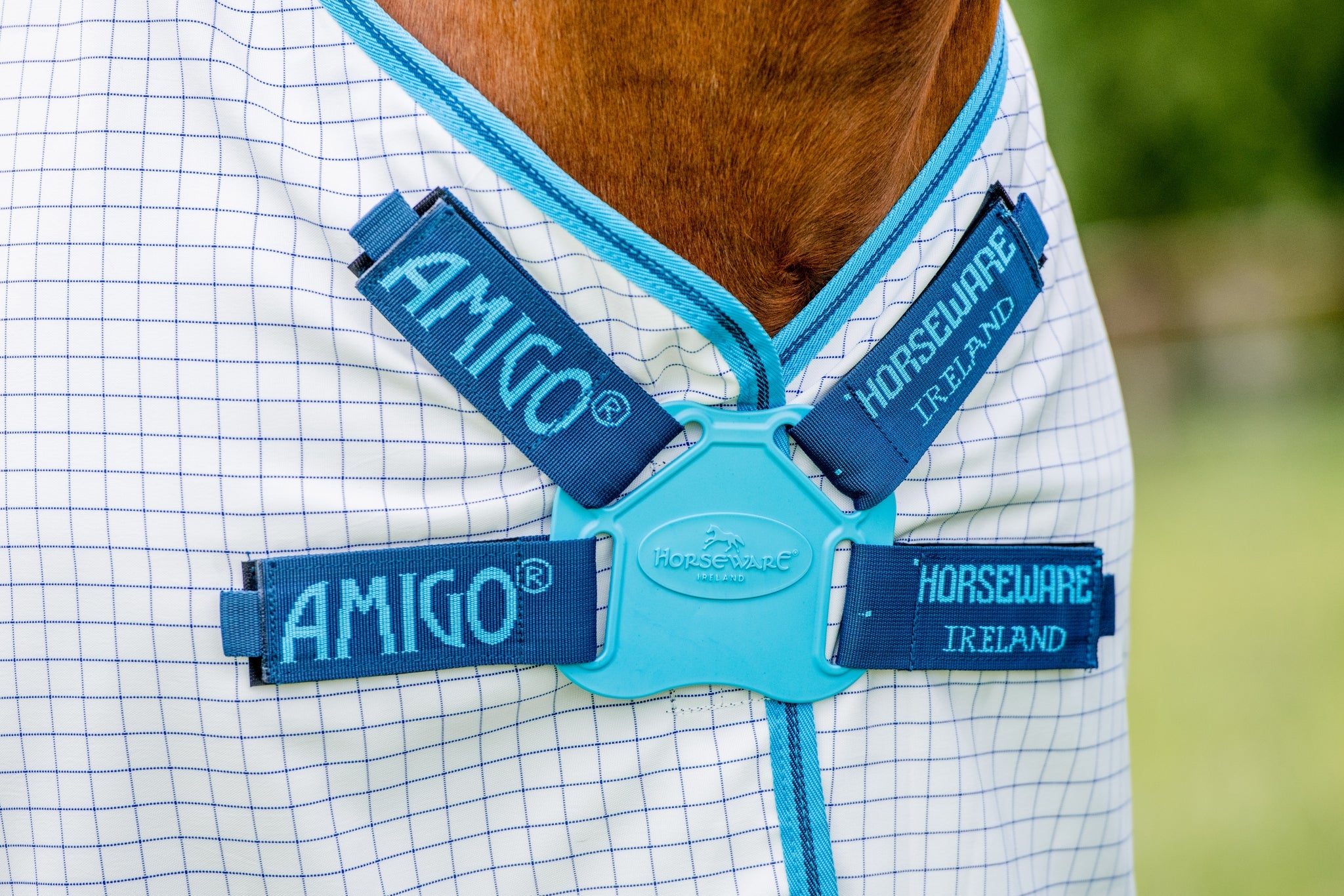 4-295838-c.jpg
