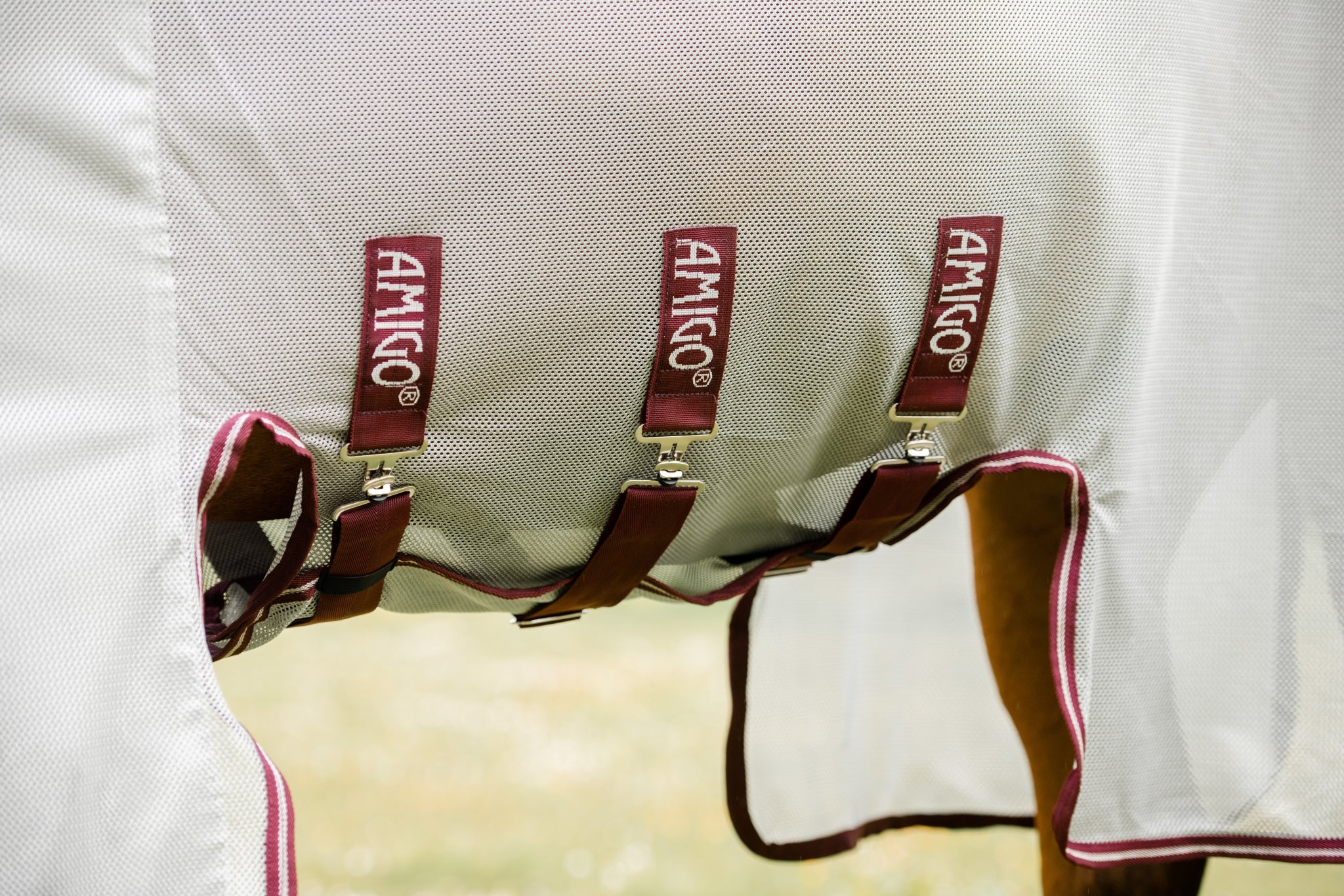 4-295849-b.jpg