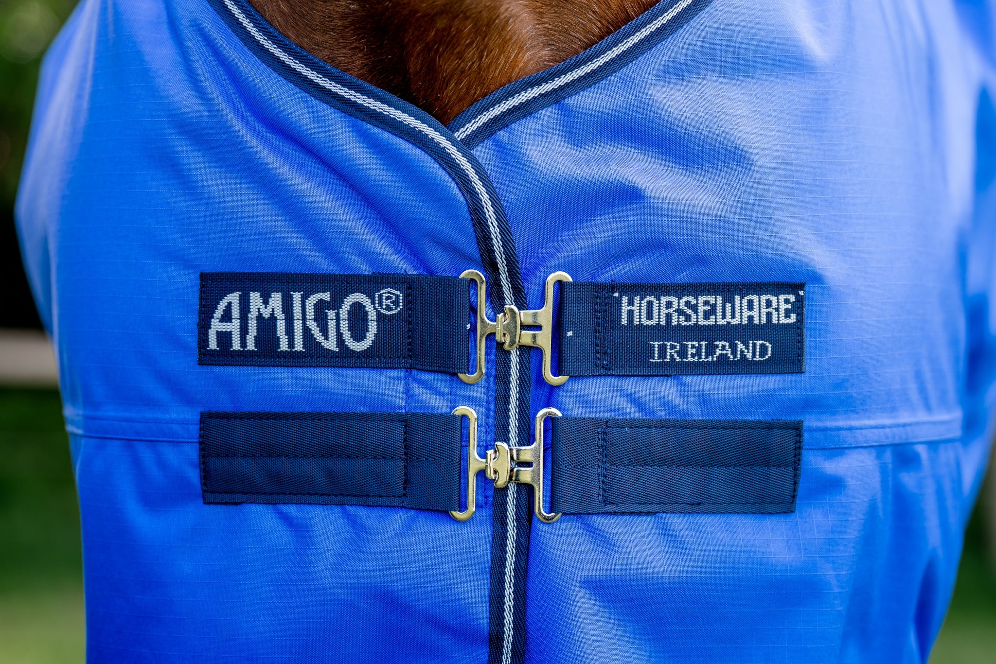 4-349903-a.jpg