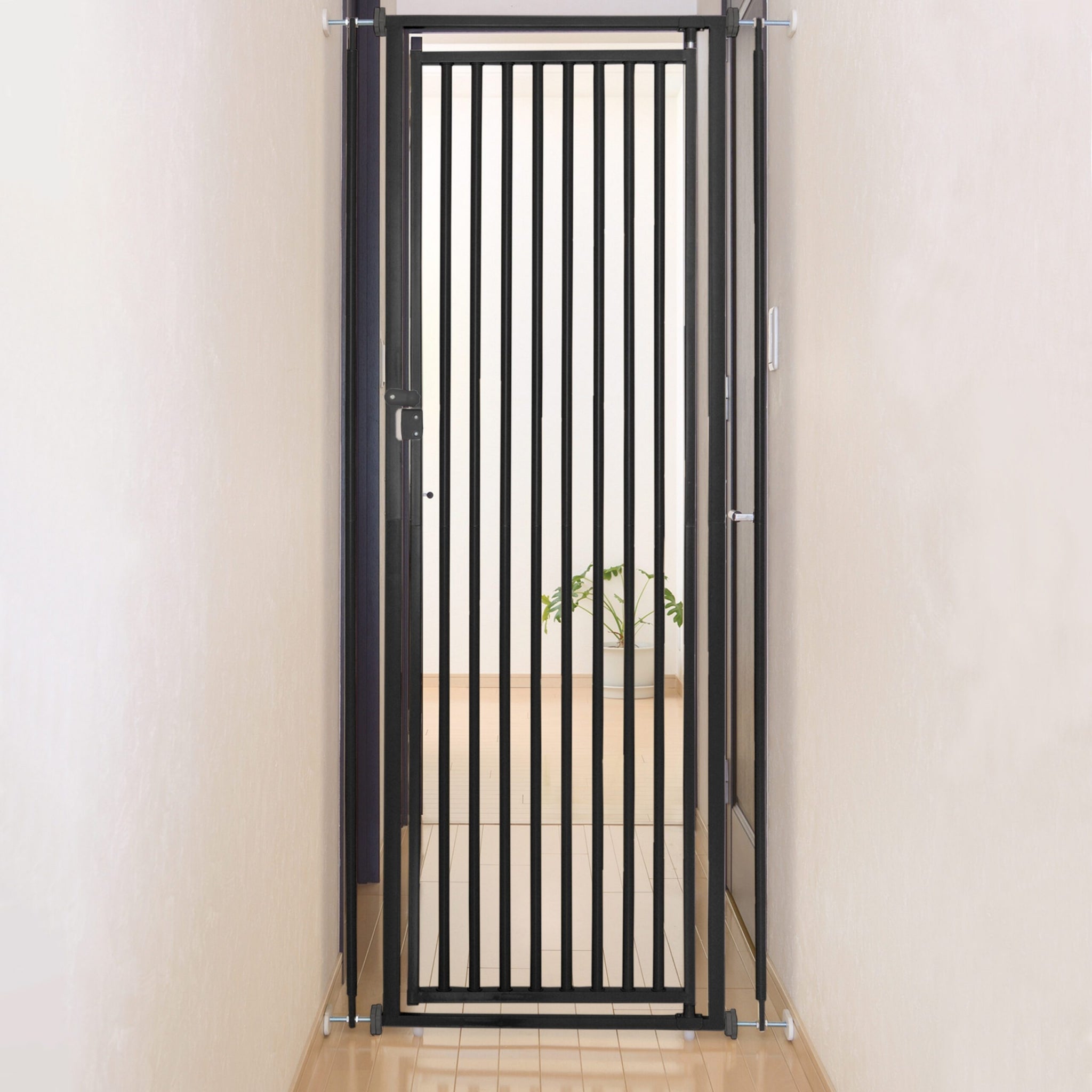 4-434244-b.jpg