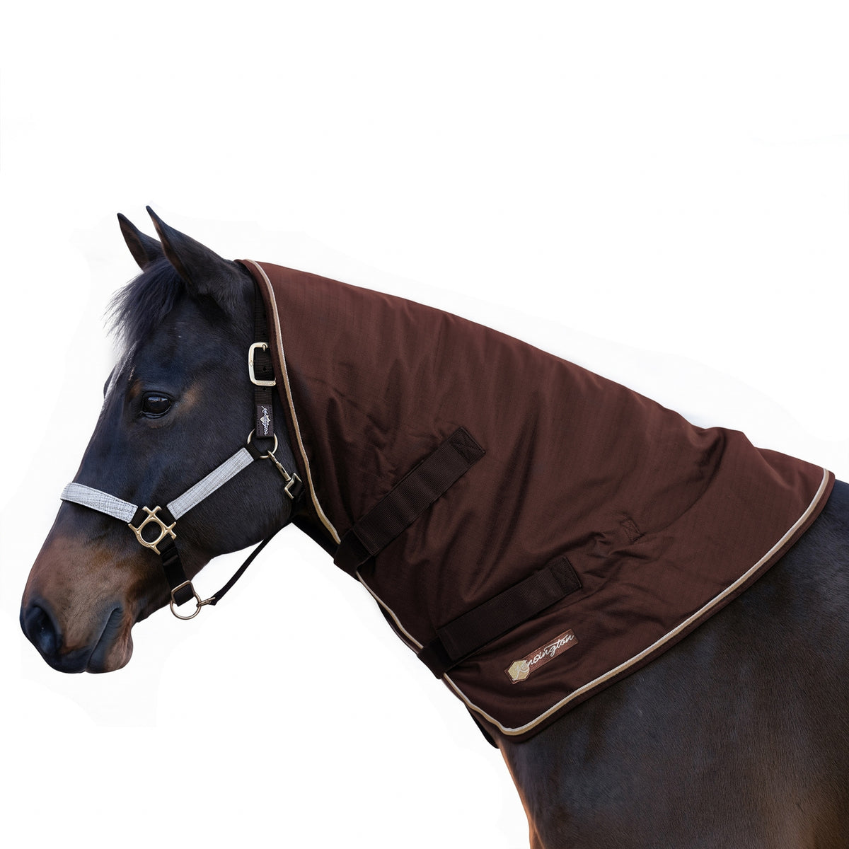 4-521821-01.jpg