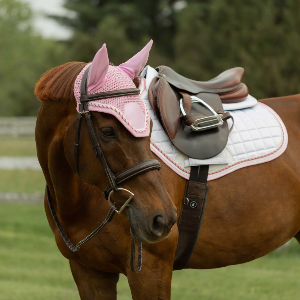 4-529887-01.jpg