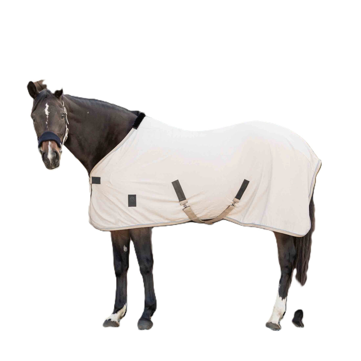 4-530590.jpg