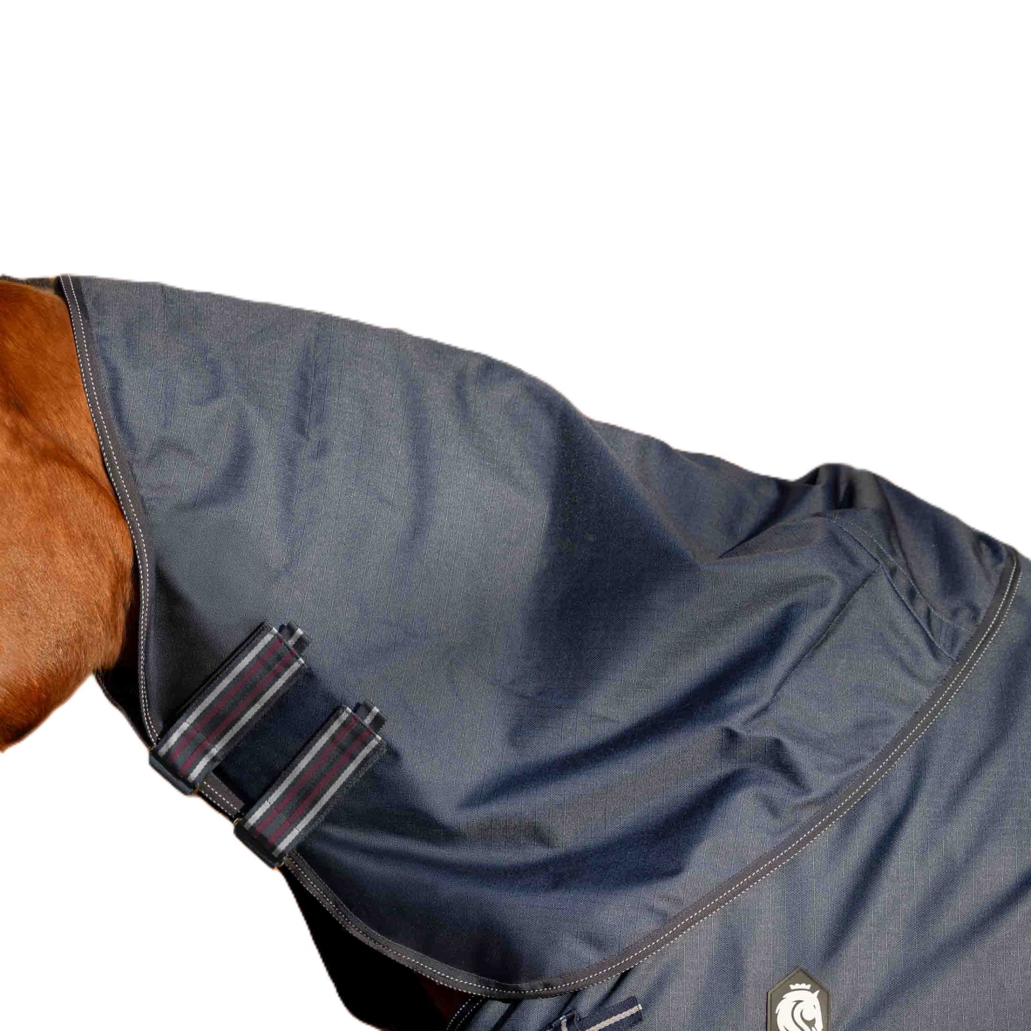 4-531284.jpg