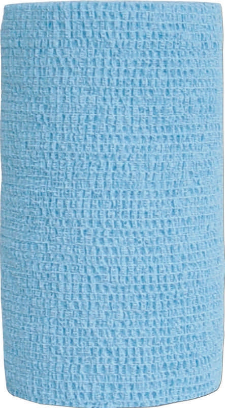 5-108909.jpg