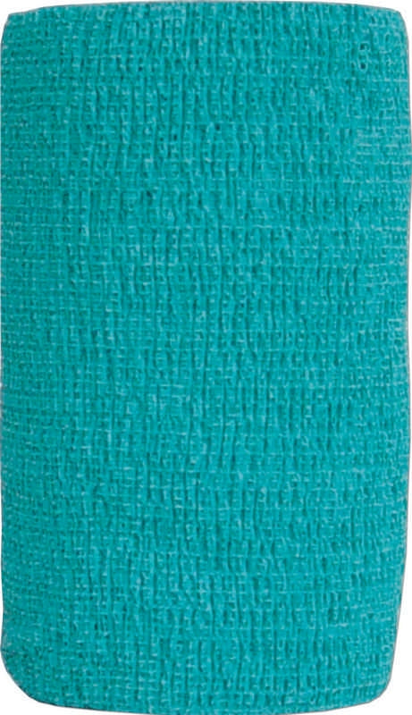 5-108910.jpg
