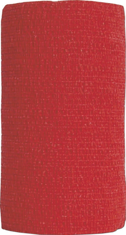5-108957.jpg