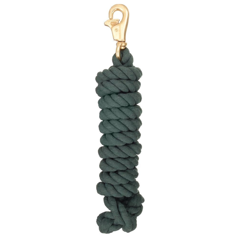5-245881.jpg