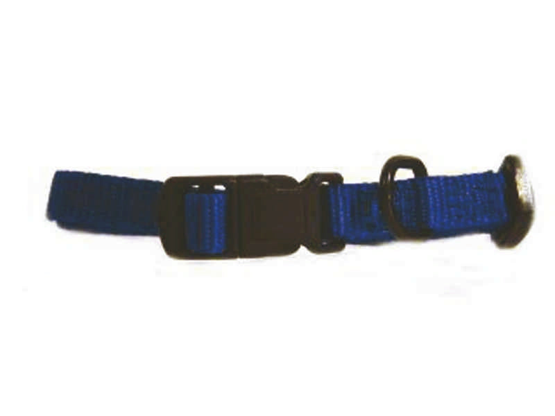 5-259788.jpg