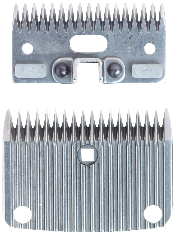 5-563487.jpg