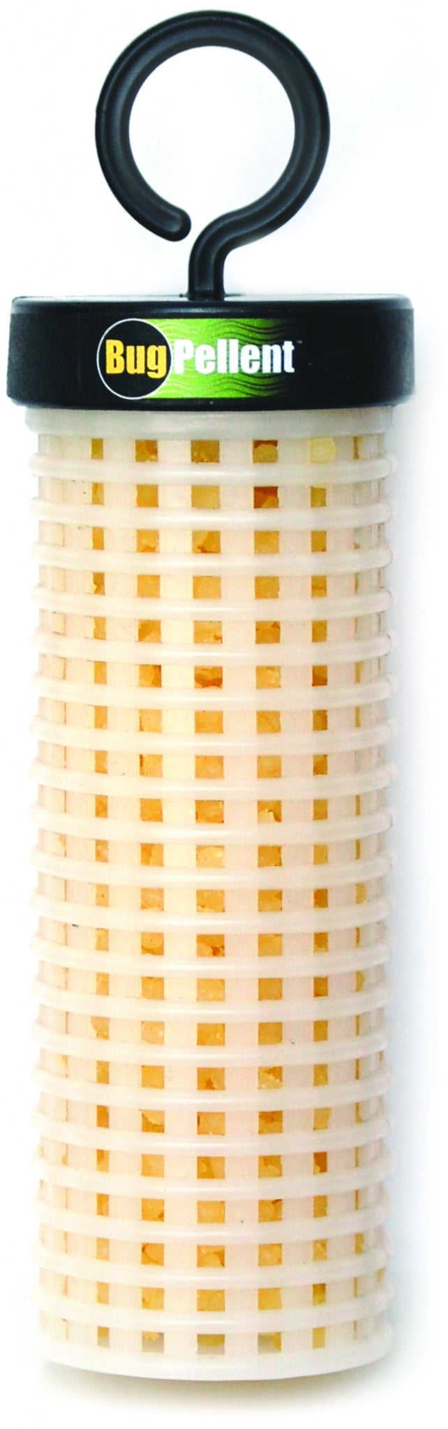 5-605301b.jpg