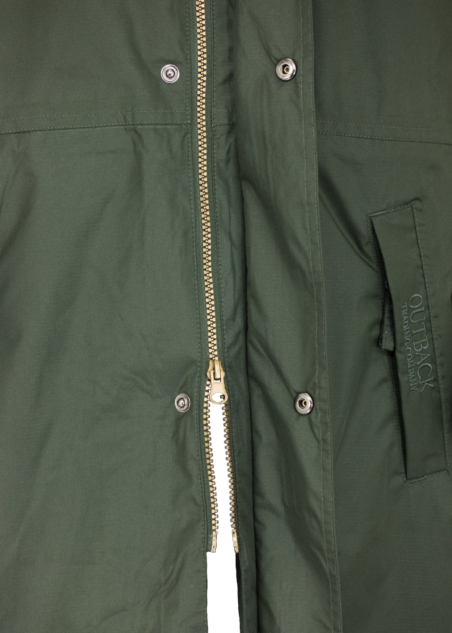 5-622767-olive2.jpg