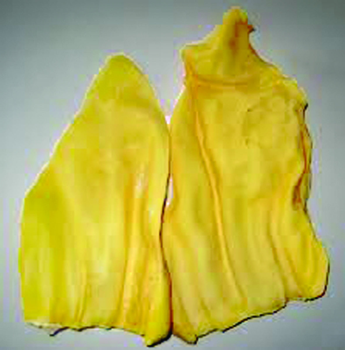 5-633186.jpg