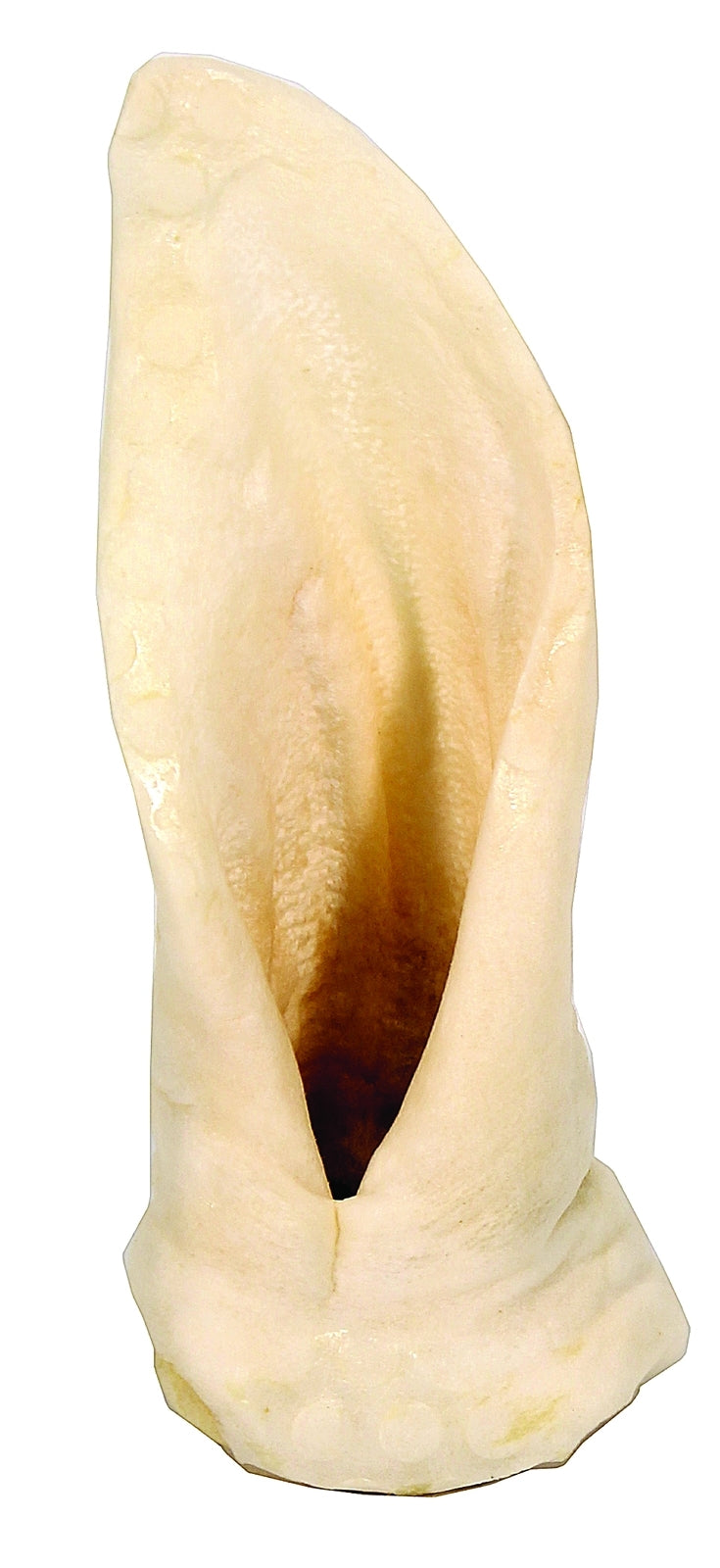 5-633215.jpg