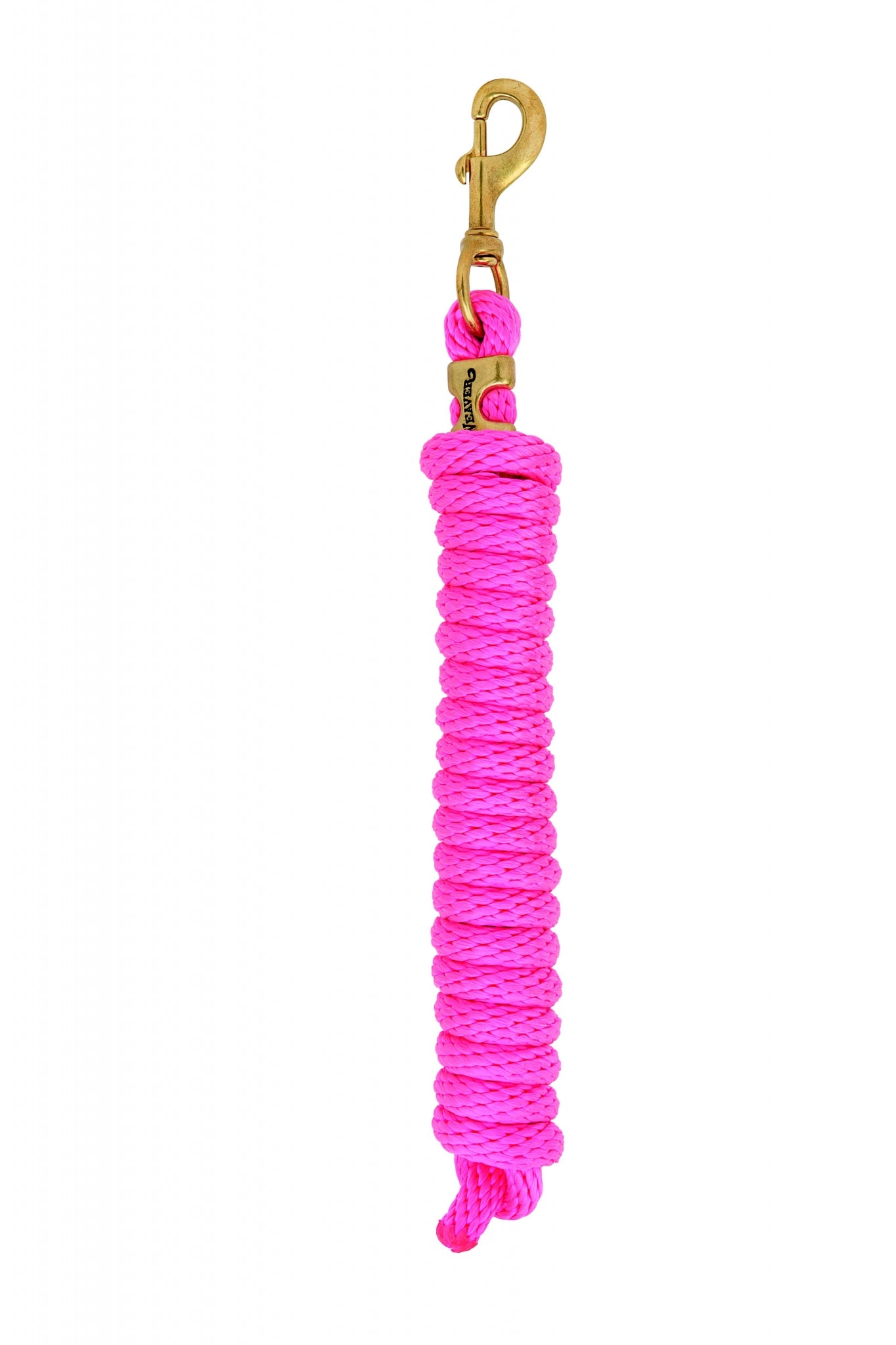 5-646384.jpg
