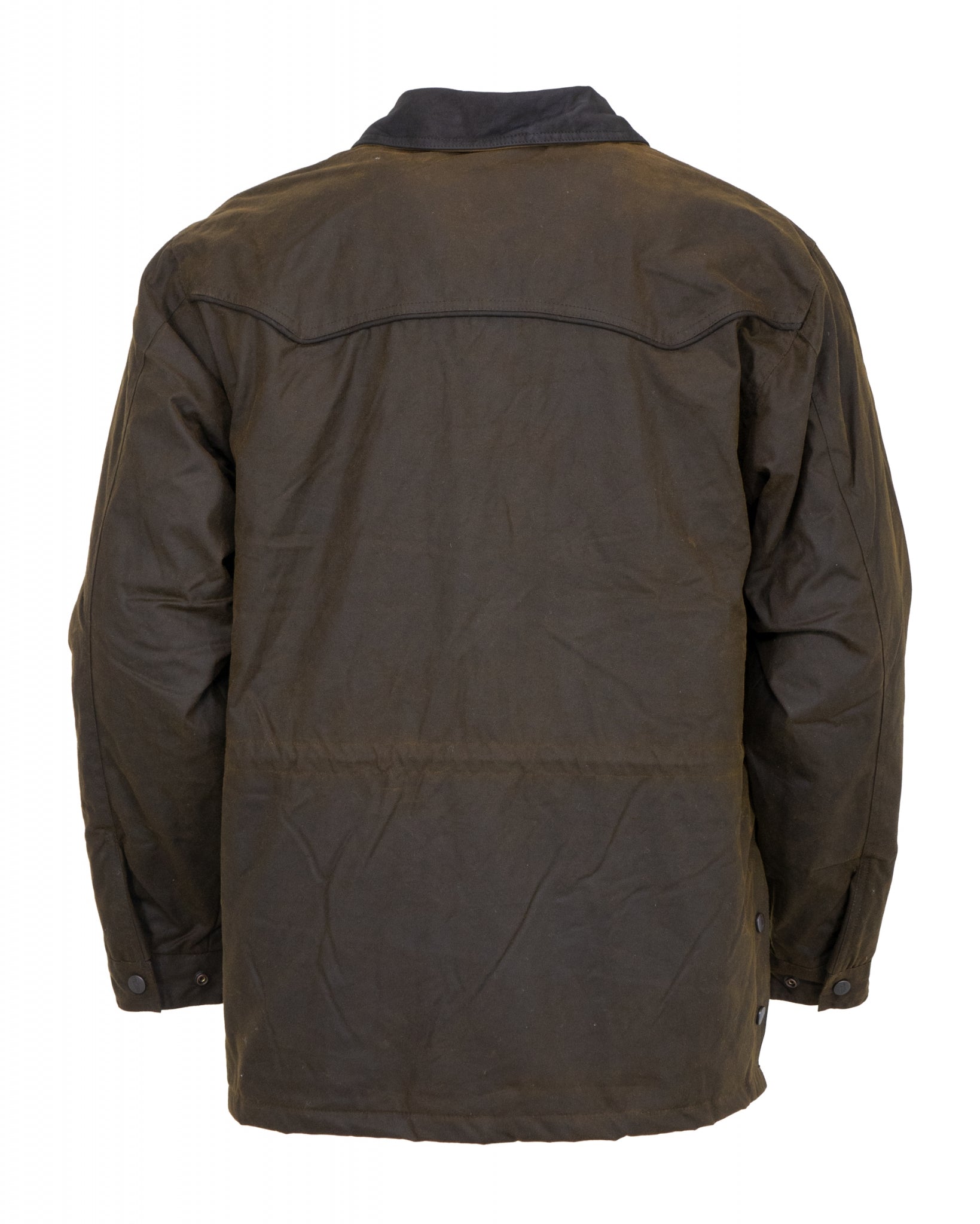 5-702436-bronze2.jpg