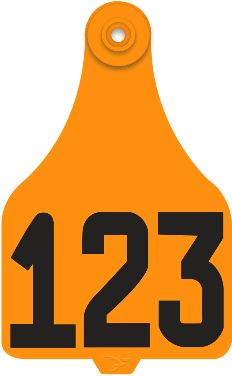 5-784000.jpg