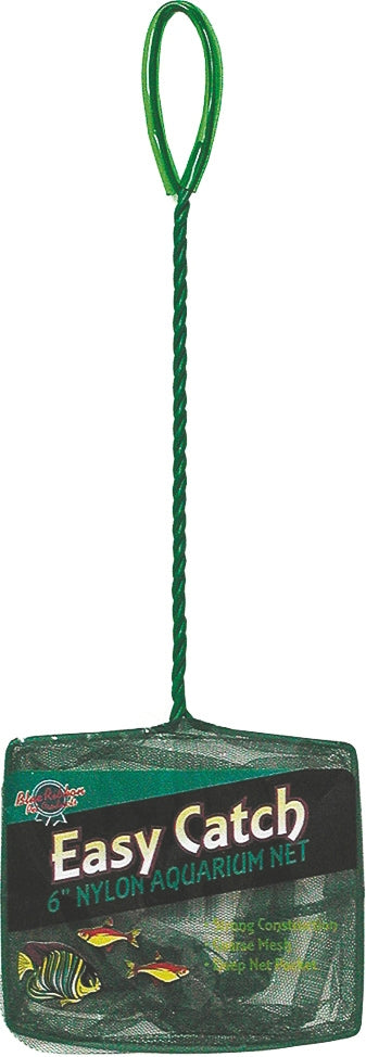 5-810321.jpg