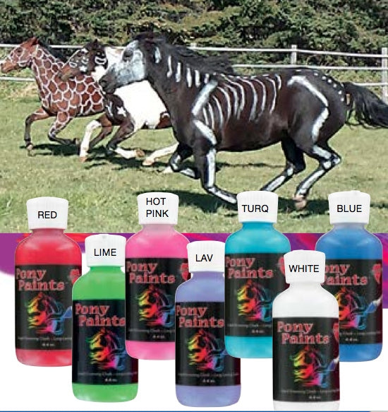 5-822622.jpg