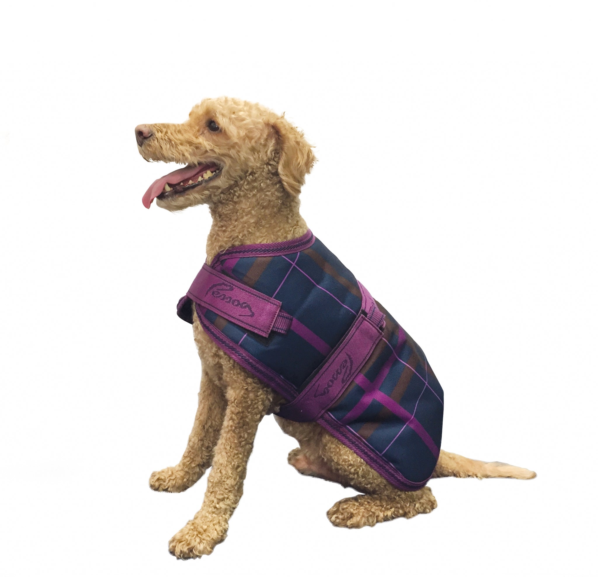 5-827175-navymagentaplaid.jpg