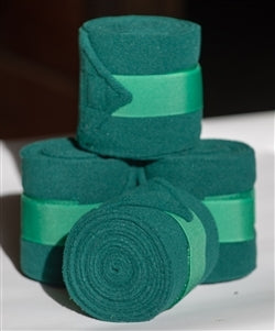 5-848796-teal.jpg