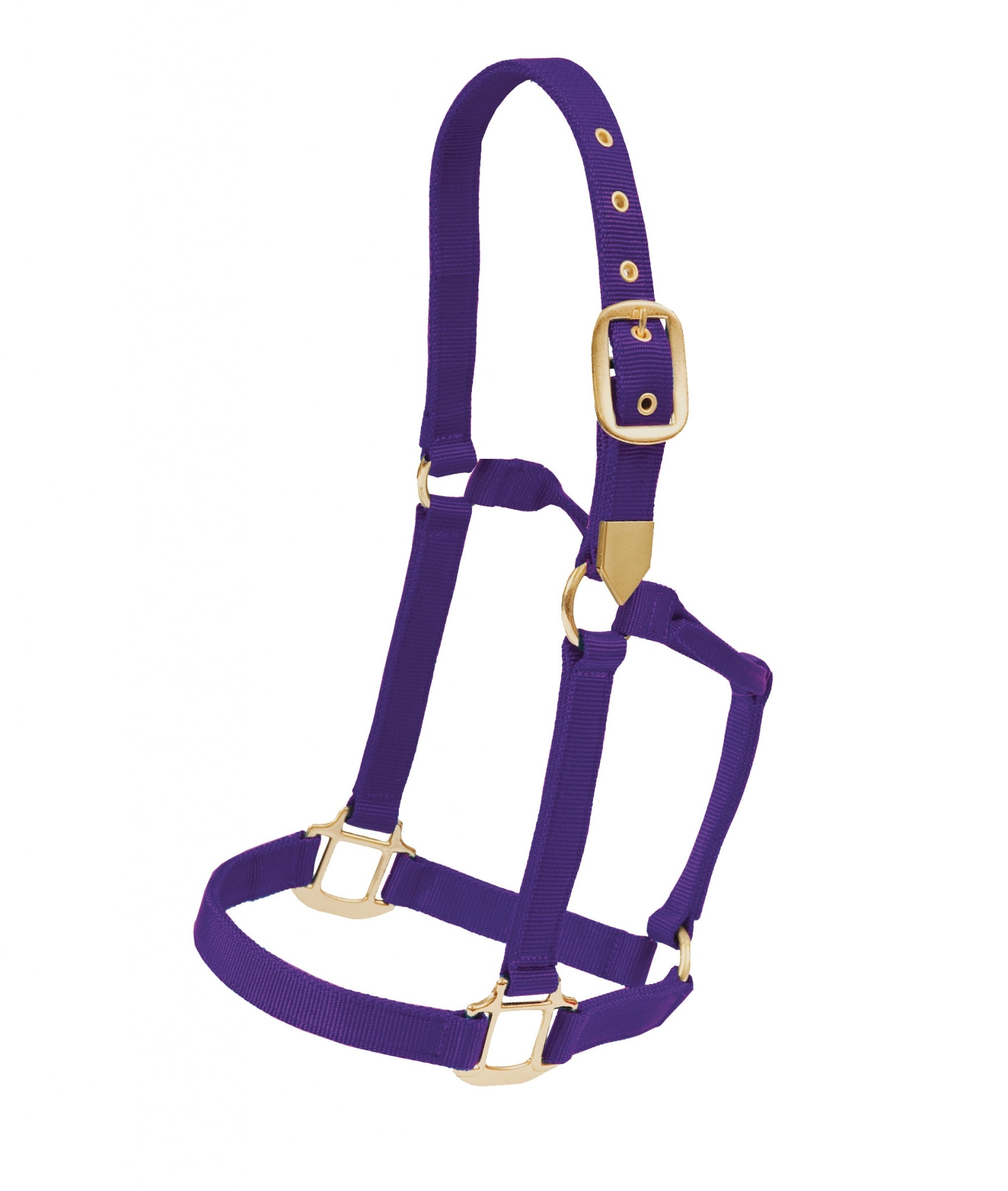 5-881097-purple.jpg