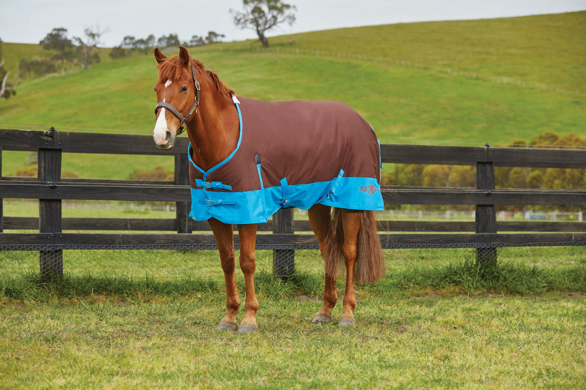 5-918526-brownroyalblue.jpg