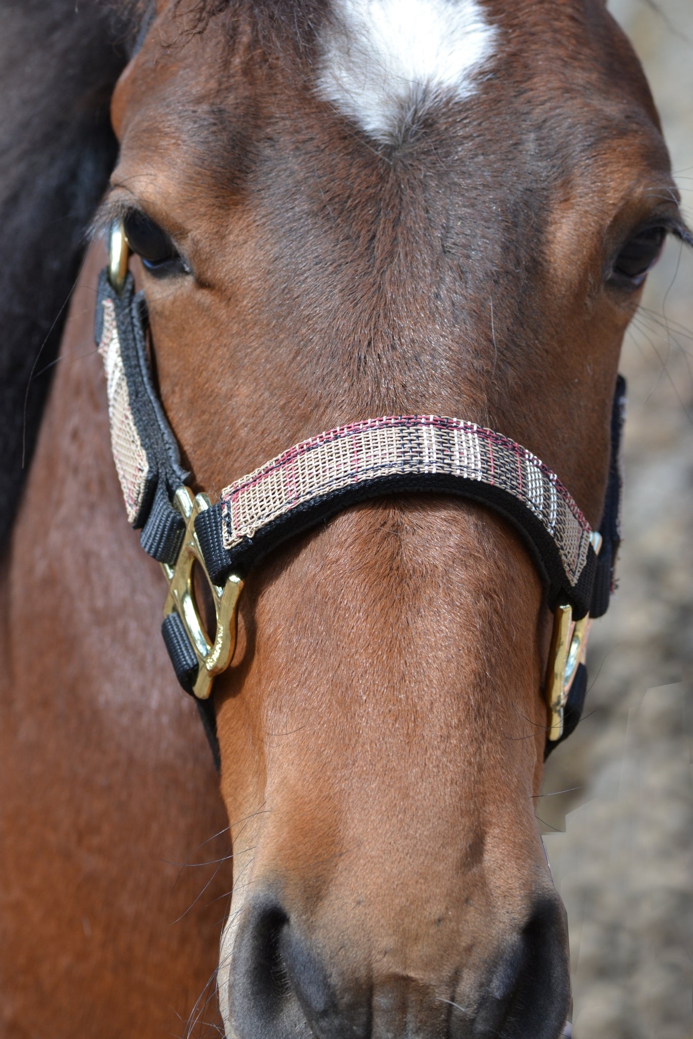 5-925397-blackdeluxeblackplaid2.jpg