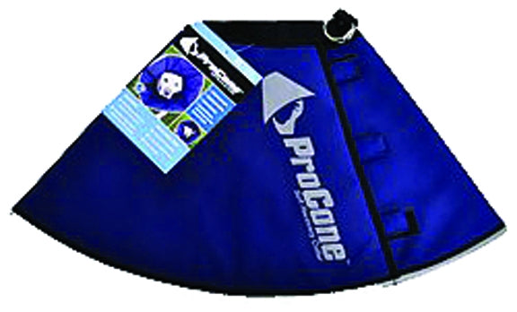 5-931467-xlarge.jpg