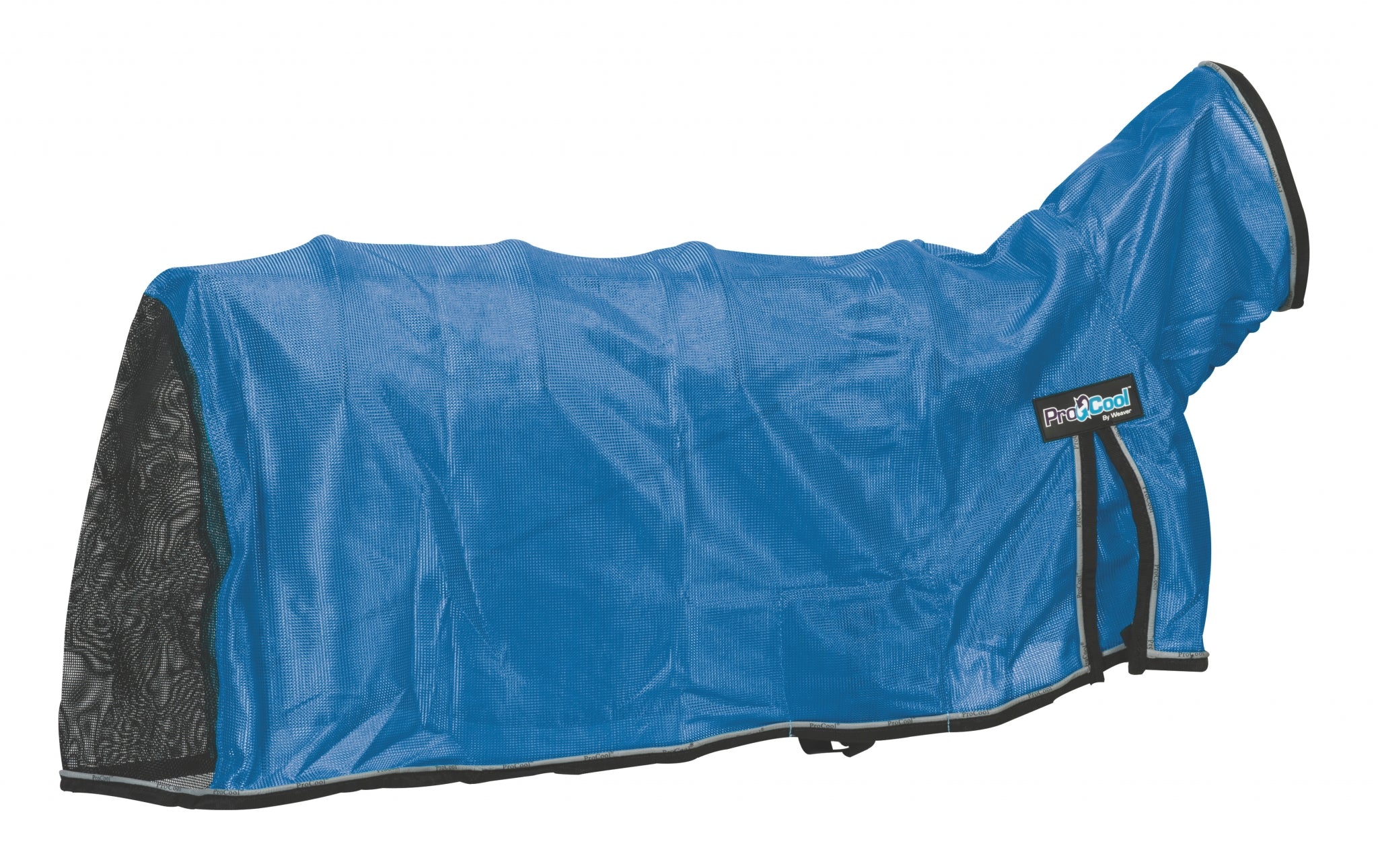 5-933235-blue.jpg