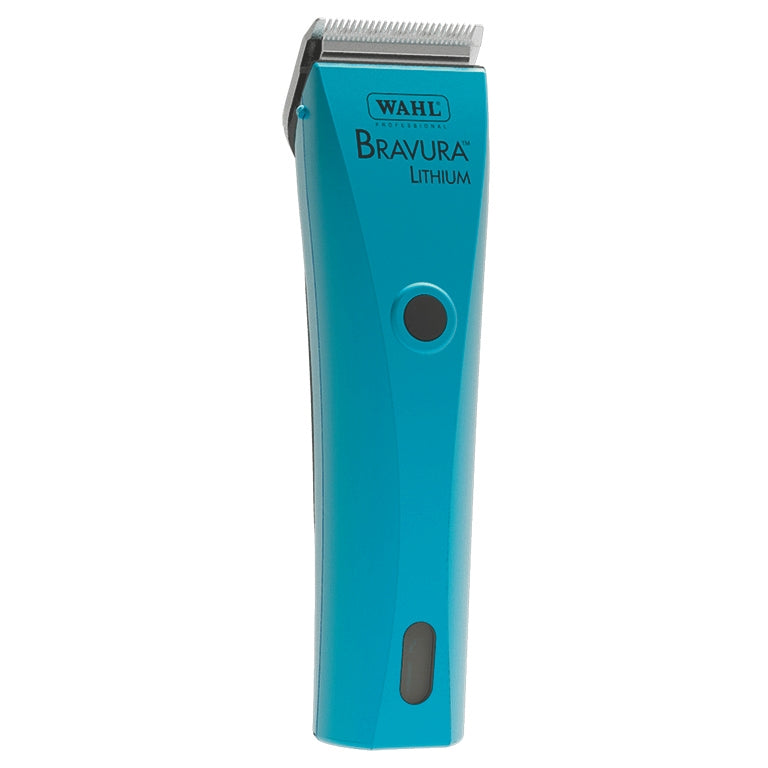 5-933349-turquoise.jpg