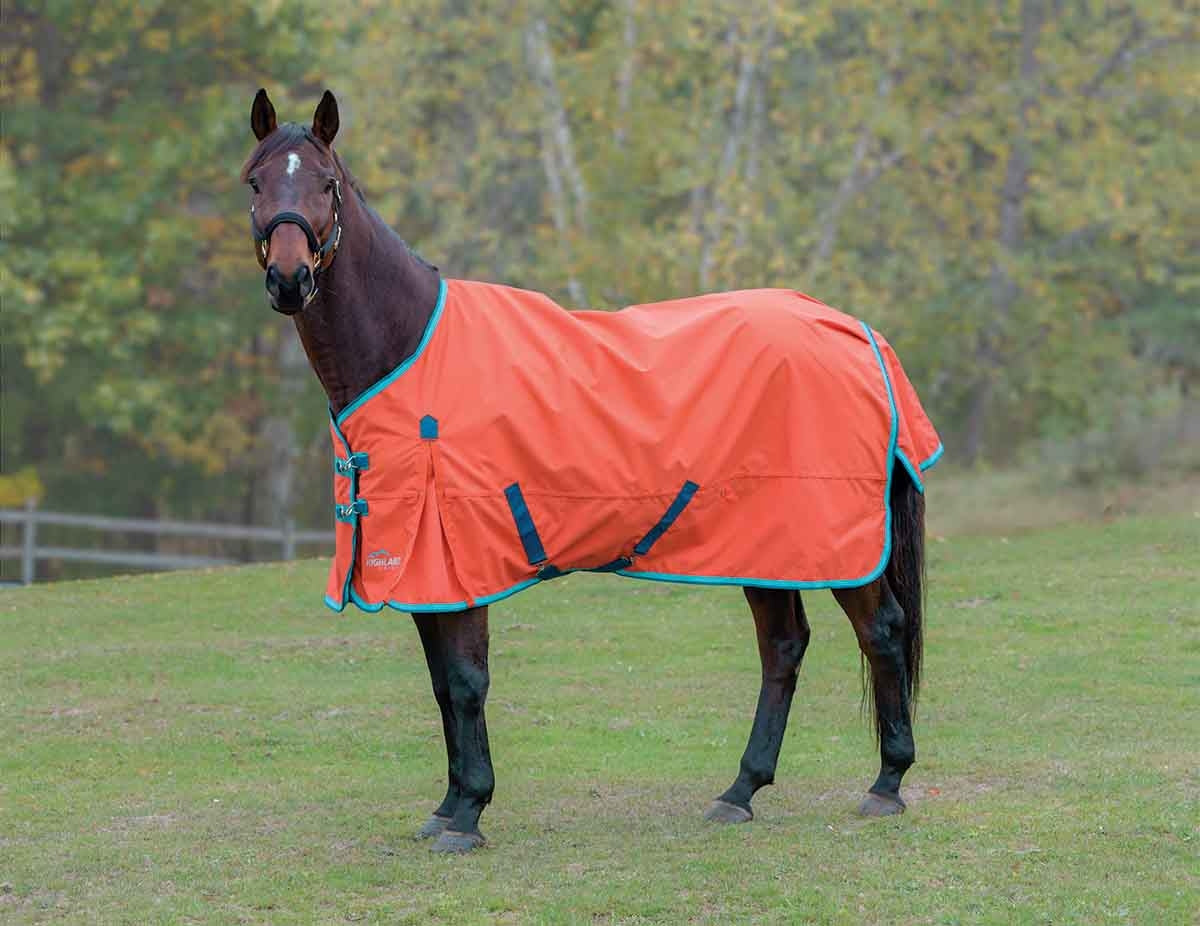 5-949324-orange.jpg