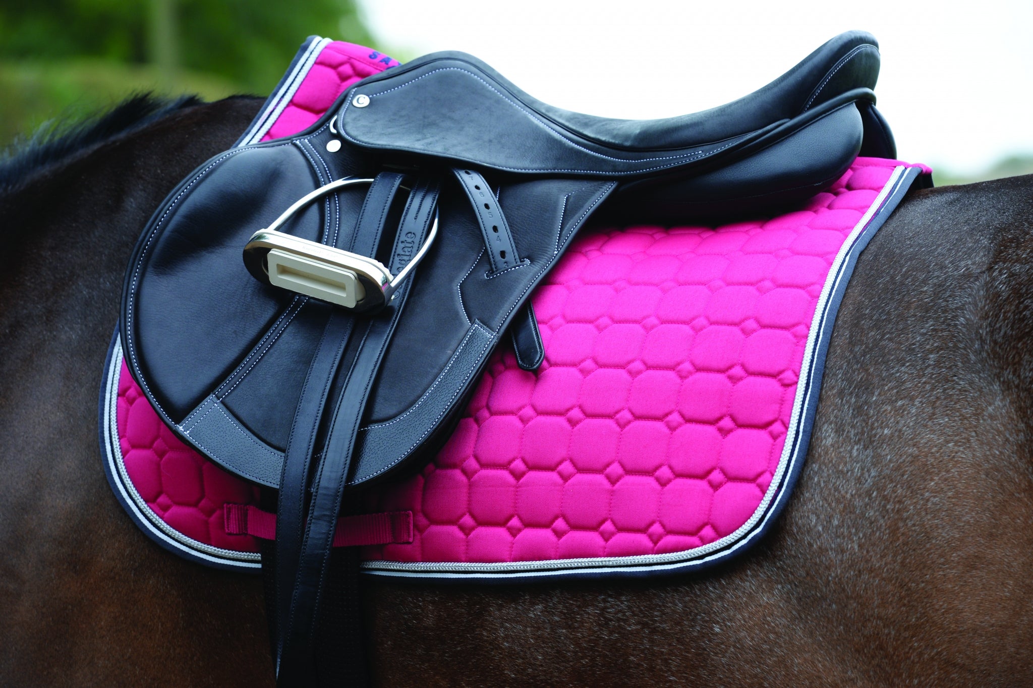 5-972391-pink-ls.jpg