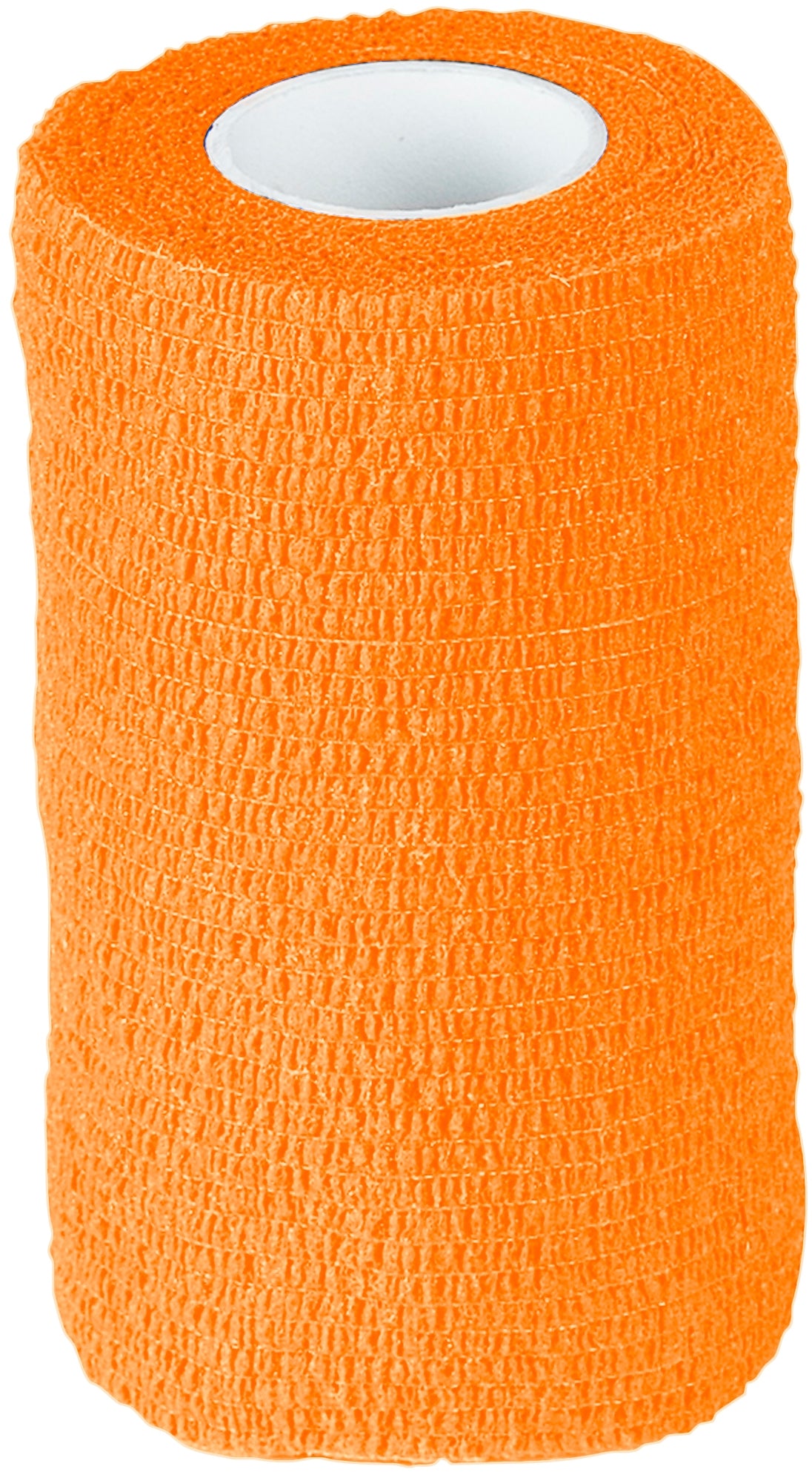 5-989491.jpg