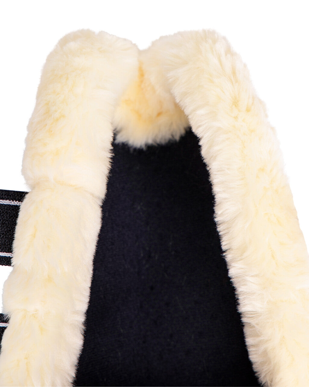 6-213240-b.jpg