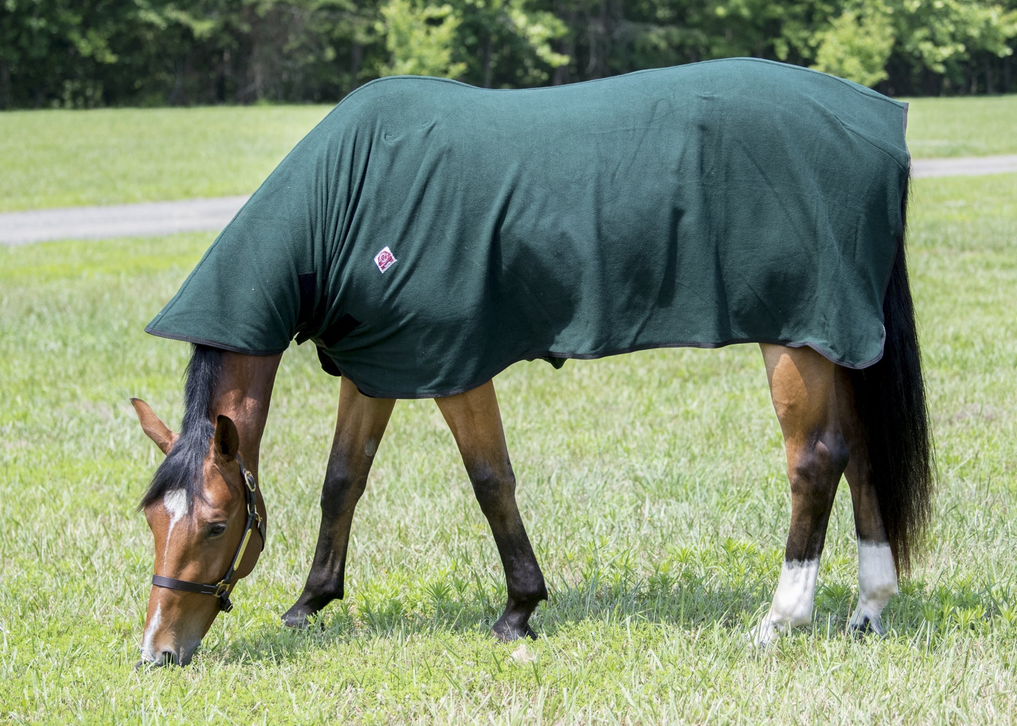 IJKSLFleecegreen_5643.jpg