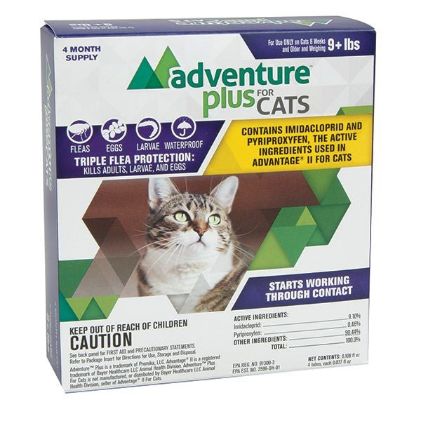 KV-adventure-plus-cat_60655a.jpg