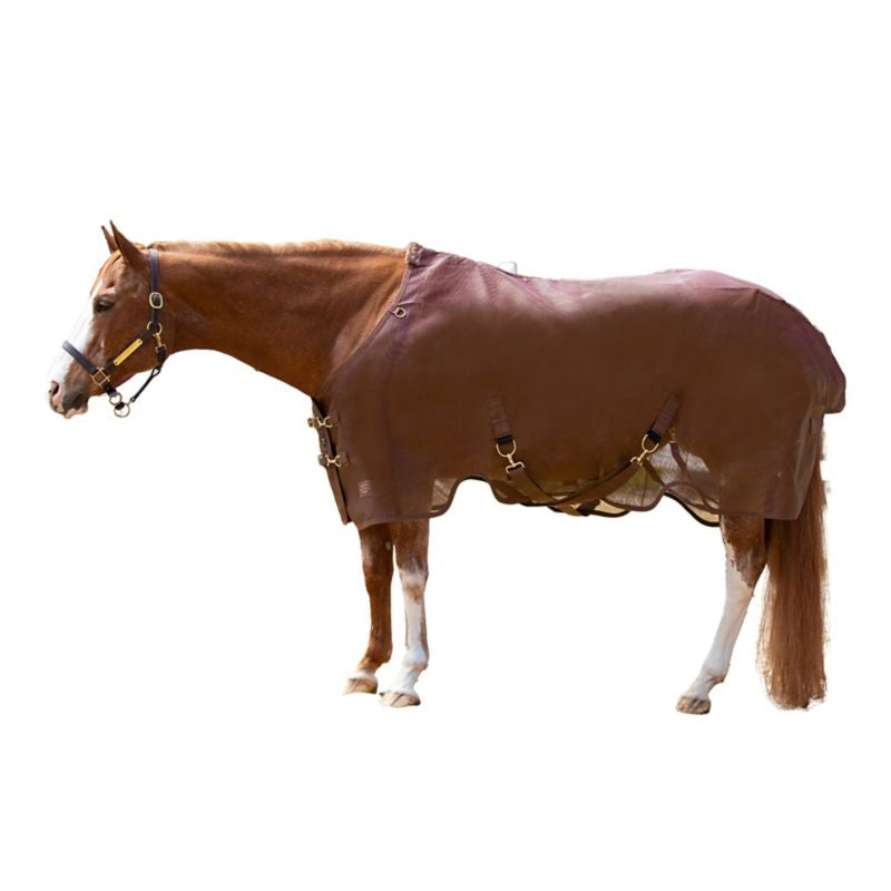 TE034150_888649_01.jpg
