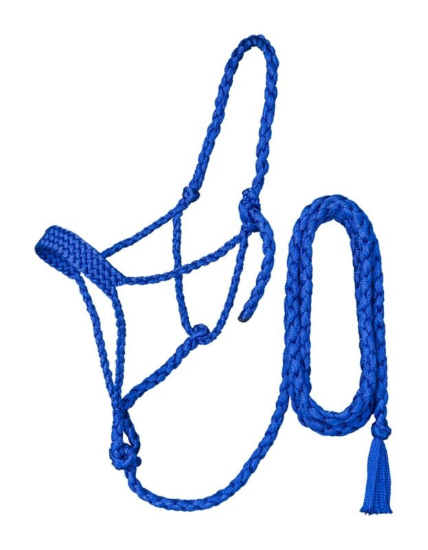 TE045562_919967.jpg
